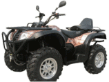  Stels ATV 500 X -     -, 