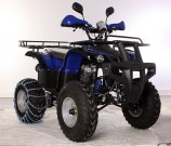 Квадроцикл MOWGLI бензиновый M250-G10 2020 proven quality - Интернет магазин спортивных товаров Кавказ-спорт, Владикавказ
