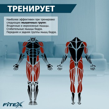 ���������� ������������ PREMIER PROF-M ����-���� ���������������� - �������� ������� ���������� ������� ������-�����, �����������