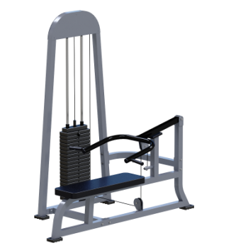 ���������������� ������� �������� ��� ��� Sabirgym SGMSX22 ���� 100 �� �������� - �������� ������� ���������� ������� ������-�����, �����������